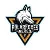 Polar Foxes Sereď