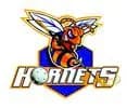FBK Hornets Mútne