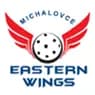 FBK Michalovce